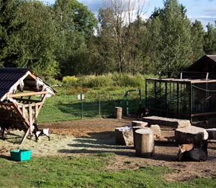 Domácí mini zoo, penzion Lada, Blato u Nové Bystřice