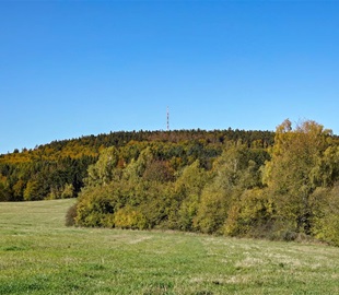 Javořice